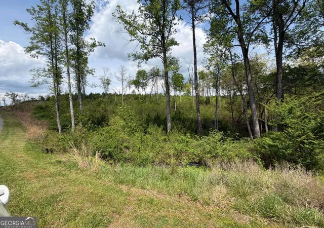 2nd image of 238 Lecroy Dr, Ellijay, GA 30540 | MLS# 10739314