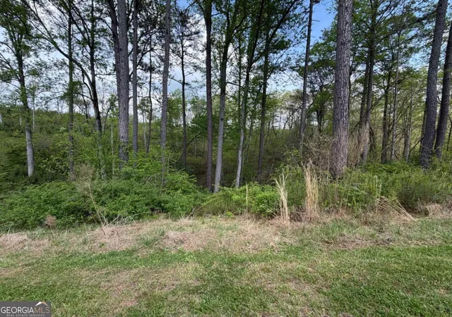 3rd image of 238 Lecroy Dr, Ellijay, GA 30540 | MLS# 10739314