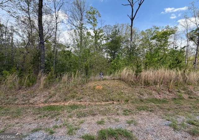 4th image of 238 Lecroy Dr, Ellijay, GA 30540 | MLS# 10739314
