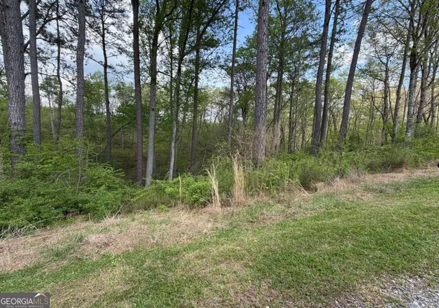 5th image of 238 Lecroy Dr, Ellijay, GA 30540 | MLS# 10739314
