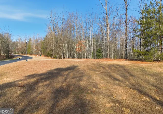 Residential Lot at 0 Shls View, Clarkesville, GA 30523 | MLS# 10683732 | | Sold on 2026-03-18