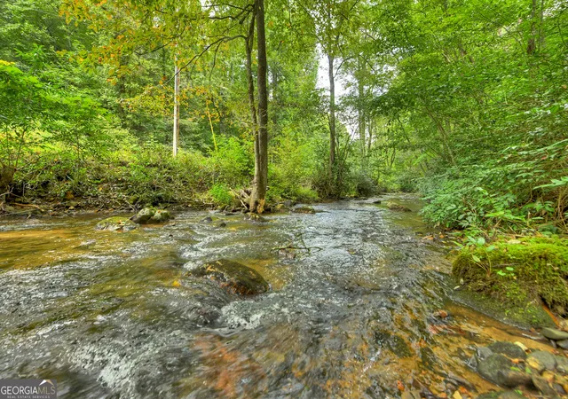 Photo 3 of Single family home for sale at 1821 Stanley Crk Rd, Cherry Log, GA 30522 | MLS# 10836645 | Listing updated on 2026-10-04