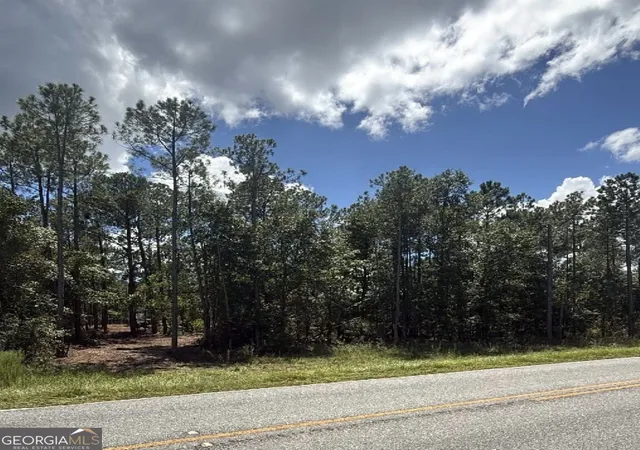 Land for sale at 0 Fountain Rd, Eastman, GA 31023 | MLS# 10836727