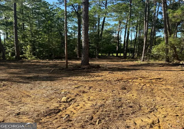 Photo 3 of Land for sale at 0 Fountain Rd, Eastman, GA 31023 | MLS# 10836727 | Listing updated on 2026-09-14