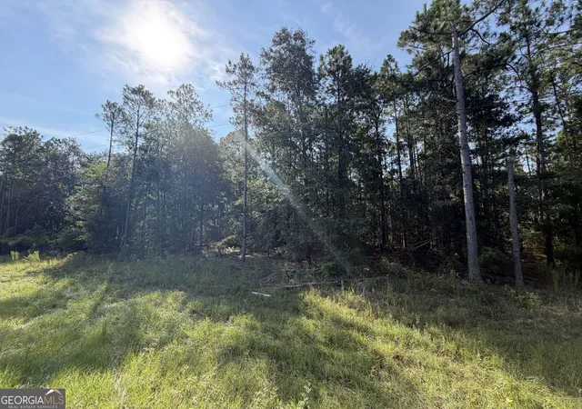 Photo 3 of Land for sale at 0 Fountain Rd, Eastman, GA 31023 | MLS# 10836727 | Listing updated on 2026-09-14