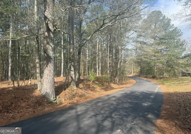 4th image of 8615 Smith James Rd #TRACT 2, Snellville, GA 30039 | MLS# 10817550