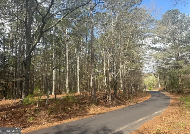 5th image of 8615 Smith James Rd #TRACT 2, Snellville, GA 30039 | MLS# 10817550