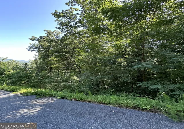 4th image of 0 Ivy Ridge, Clarkesville, GA 30523 | MLS# 10799069