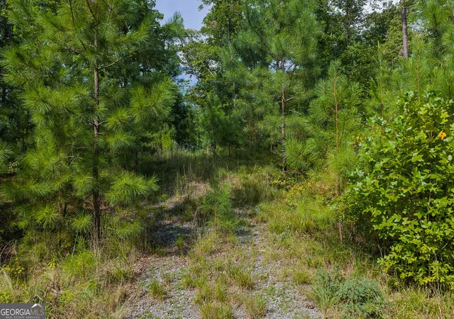 Photo 3 of Land for sale at Lot 159r Harris Creek Dr, Ellijay, GA 30540 | MLS# 10827411 | Listing updated on 2026-09-30