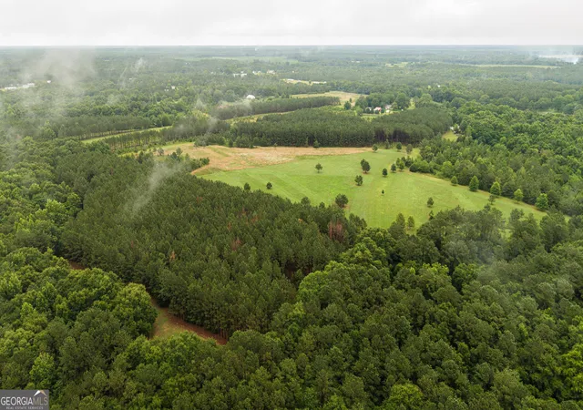 1st image of 990 Ga Hwy 49 S, Americus, GA 31719 | MLS# 10795361
