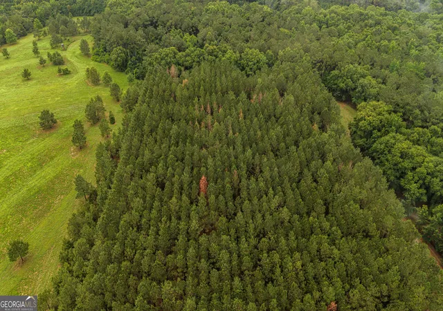 2nd image of 990 Ga Hwy 49 S, Americus, GA 31719 | MLS# 10795361