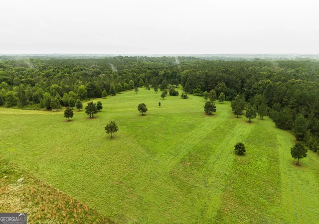 4th image of 990 Ga Hwy 49 S, Americus, GA 31719 | MLS# 10795361