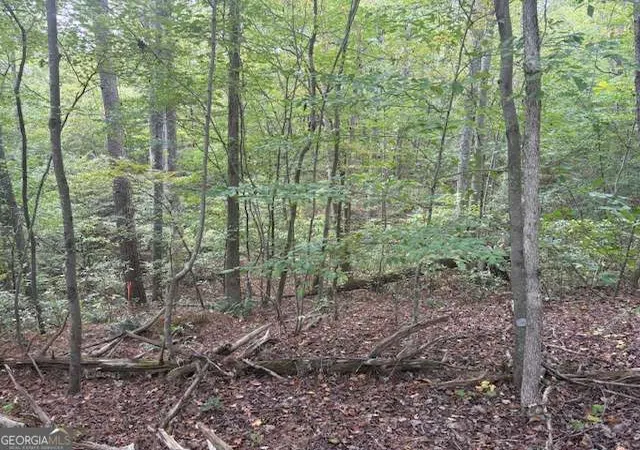 Photo 2 of Land for sale at 0 Mark Foster, Talking Rock, GA 30175 | MLS# 10759297 | Listing updated on 2026-09-10
