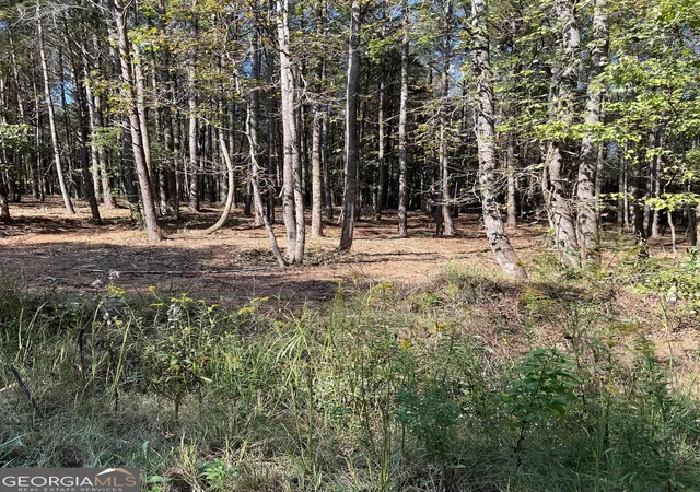 2nd image of 800 Browing Rd, Jasper, GA 30143 | MLS# 10522926