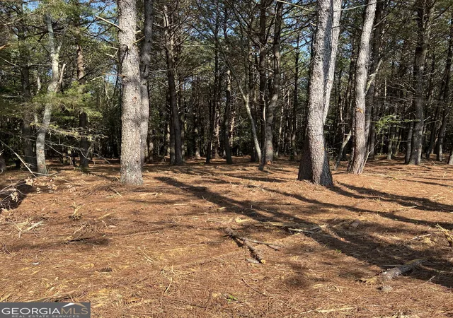 4th image of 800 Browing Rd, Jasper, GA 30143 | MLS# 10522926