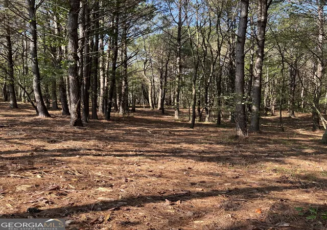 6th image of 800 Browing Rd, Jasper, GA 30143 | MLS# 10522926