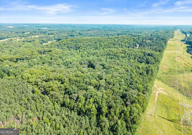 2nd image of 342 Woodland Path, Dallas, GA 30132 | MLS# 10804212
