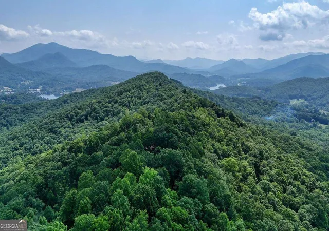 53rd image of 1795 Ivy Mountain Rd, Hiawassee, GA 30546 | MLS# 10539015