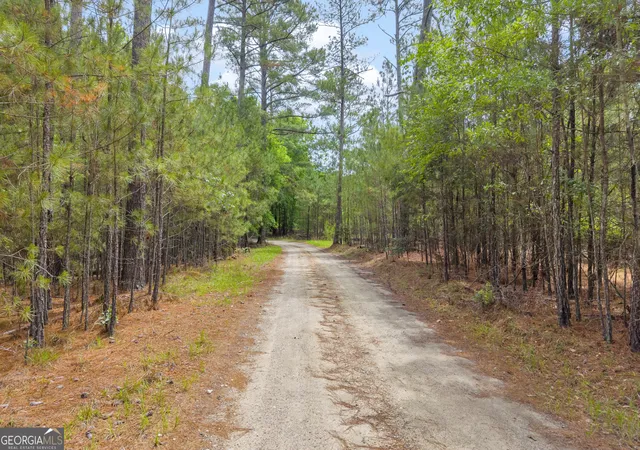 16th image of 0 Clary Xrd, Lincolnton, GA 30817 | MLS# 10776040