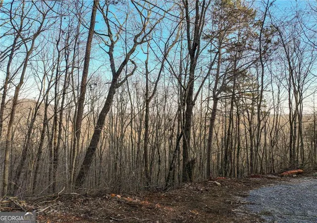 2nd image of Lot 7 Mount Mincie Rd, Murrayville, GA 30564 | MLS# 10823131