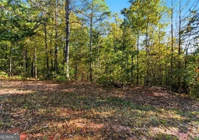 Photo 3 of Land for sale at 7794 Gusty Trl, Douglasville, GA 30135 | MLS# 10822820 | Listing updated on 2026-08-24