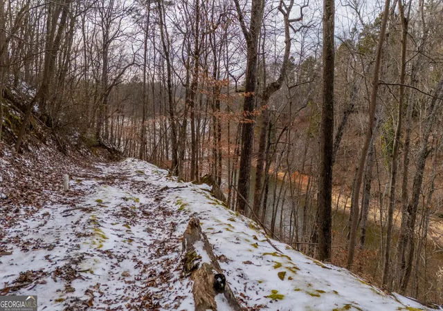 Photo 4 of Land for sale at 850 Piedmont Rd, Gainesville, GA 30501 | MLS# 10692618 | Listing updated on 2026-03-09