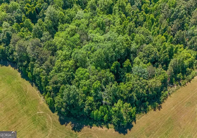 2nd image of Darsey, Cairo, GA 39828 | MLS# 10772582