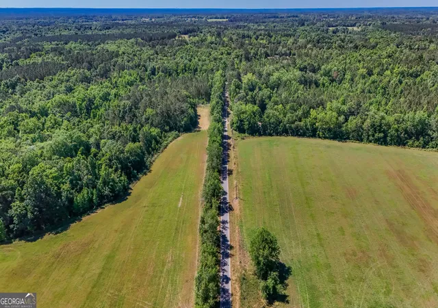 4th image of Darsey, Cairo, GA 39828 | MLS# 10772582