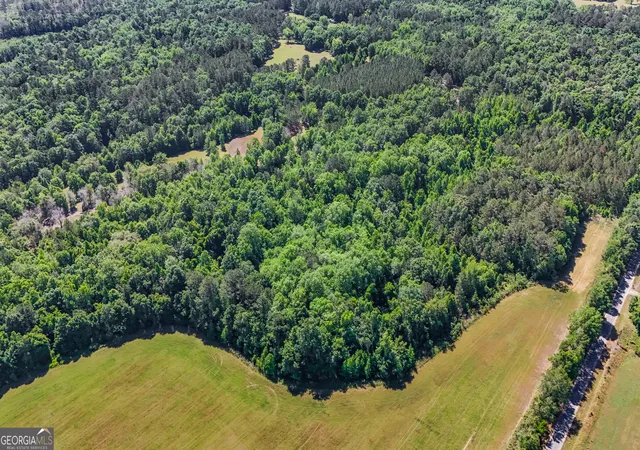5th image of Darsey, Cairo, GA 39828 | MLS# 10772582
