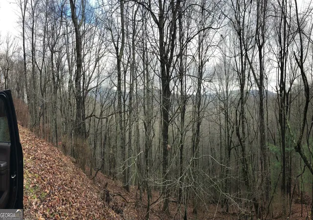 Photo 3 of Land for sale at 0 Brown Mountain Rd, Scaly Mountain, NC 28775 | MLS# 10424867 | Listing updated on 2026-05-28