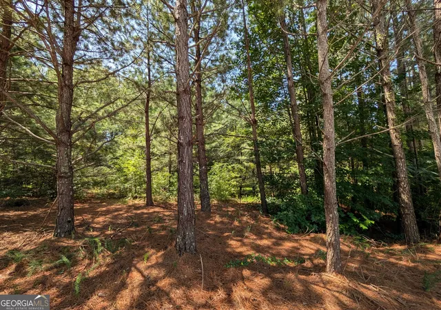 Photo 3 of Land for sale at 0 Brookmont Pkwy, Douglasville, GA 30135 | MLS# 10826953 | Listing updated on 2026-08-31
