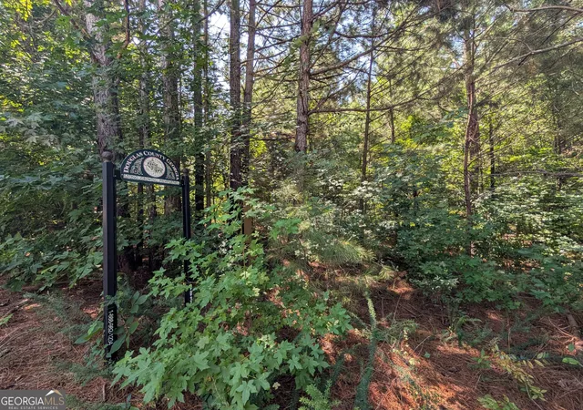 Photo 3 of Land for sale at 0 Brookmont Pkwy, Douglasville, GA 30135 | MLS# 10826953 | Listing updated on 2026-08-31