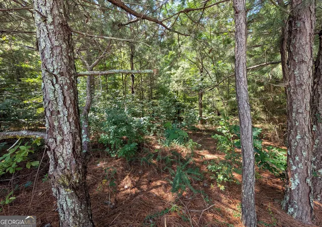 Photo 4 of Land for sale at 0 Brookmont Pkwy, Douglasville, GA 30135 | MLS# 10826953 | Listing updated on 2026-08-31