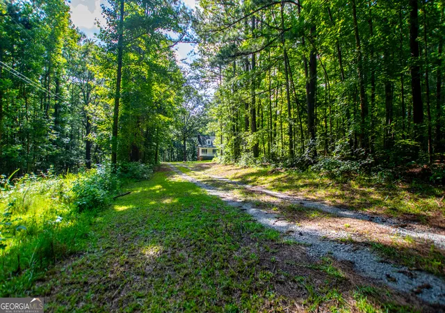 4th image of 8291 E Hwy 5, Whitesburg, GA 30185 | MLS# 10768828