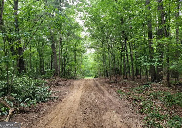 Homes for sale in Summerville, GA | 00 Rocky Hollow Rd, Summerville, GA 30747 | MLS# 10674737