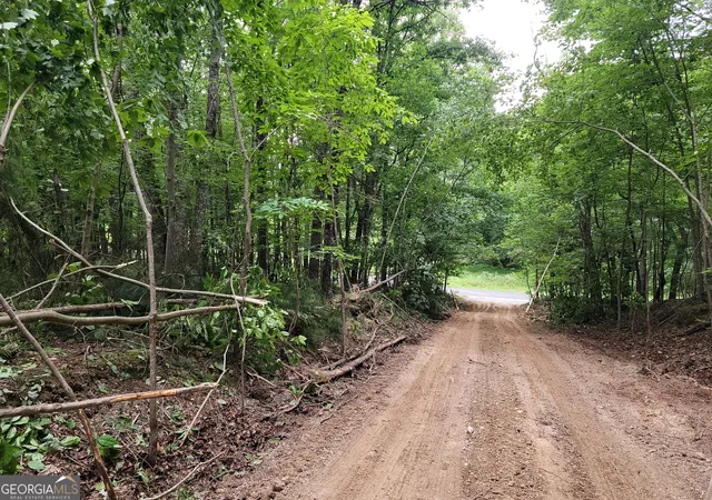 Homes for sale in Summerville, GA | 00 Rocky Hollow Rd, Summerville, GA 30747 | MLS# 10674737