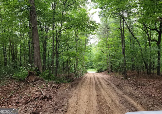 Homes for sale in Summerville, GA | 00 Rocky Hollow Rd, Summerville, GA 30747 | MLS# 10674737