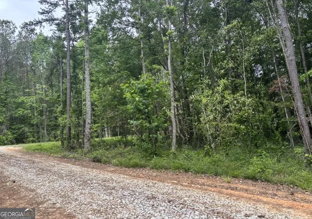 Homes for sale in Wedowee, AL | Tract 2 343 County Road 892, Wedowee, AL 36278 | MLS# 10788451