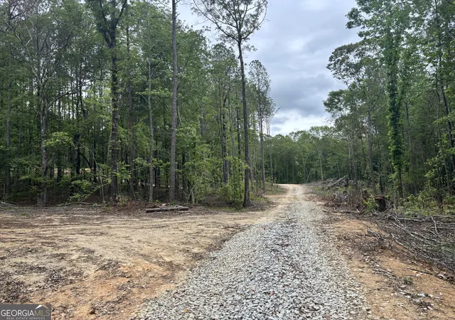 Homes for sale in Wedowee, AL | Tract 2 343 County Road 892, Wedowee, AL 36278 | MLS# 10788451