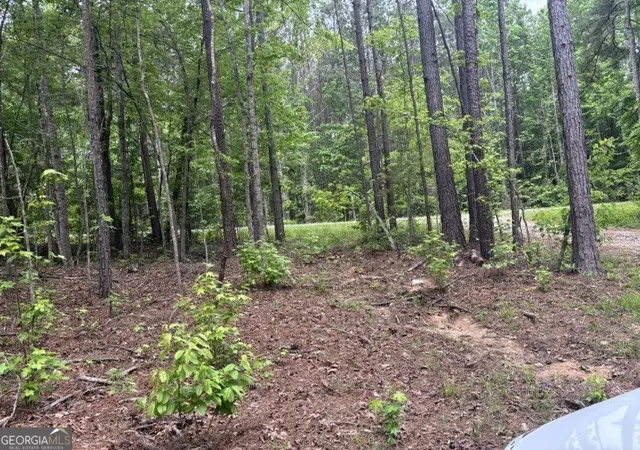 Homes for sale in Wedowee, AL | Tract 2 343 County Road 892, Wedowee, AL 36278 | MLS# 10788451
