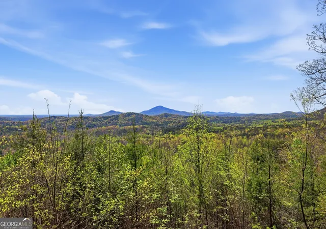 55th image of 378 Matadore Vis, Sautee Nacoochee, GA 30571 | MLS# 10728128