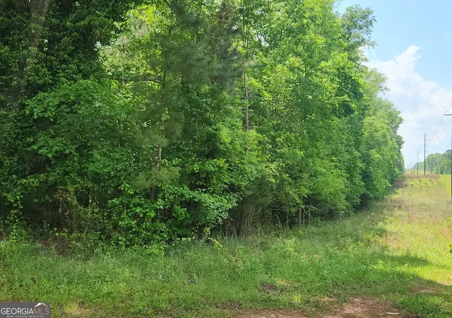 3rd image of 1241 Old Siloam Rd, Union Point, GA 30669 | MLS# 10775565