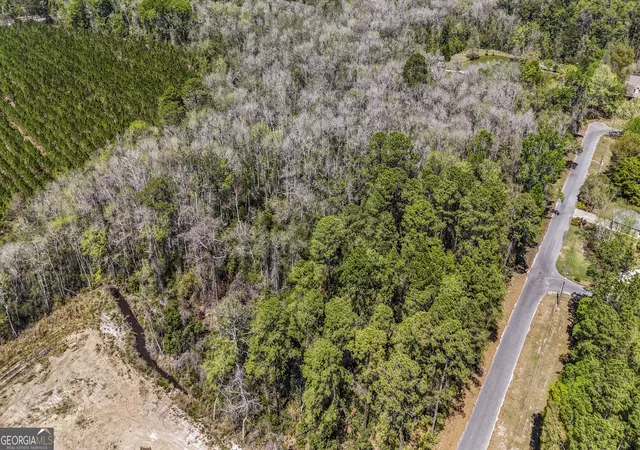 3rd image of 0 Littlefield St, Jesup, GA 31546 | MLS# 10724388