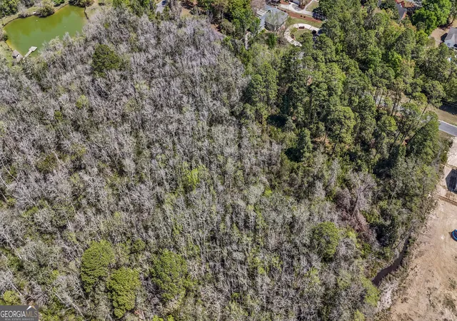4th image of 0 Littlefield St, Jesup, GA 31546 | MLS# 10724388