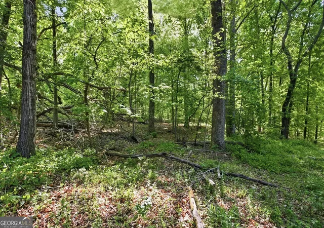7th image of 3691 Ledan Rd, Gainesville, GA 30506 | MLS# 10759546