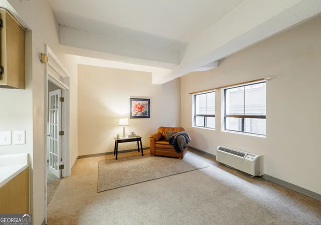 Listing Photo 3 - Condo for sale in building located at 131 Broad St, Athens, GA 30601 - Unit #409