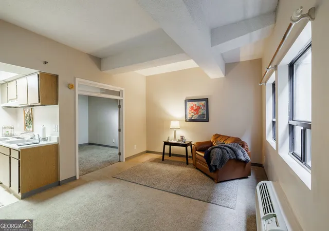 Listing Photo 4 - Condo for sale in building located at 131 Broad St, Athens, GA 30601 - Unit #409