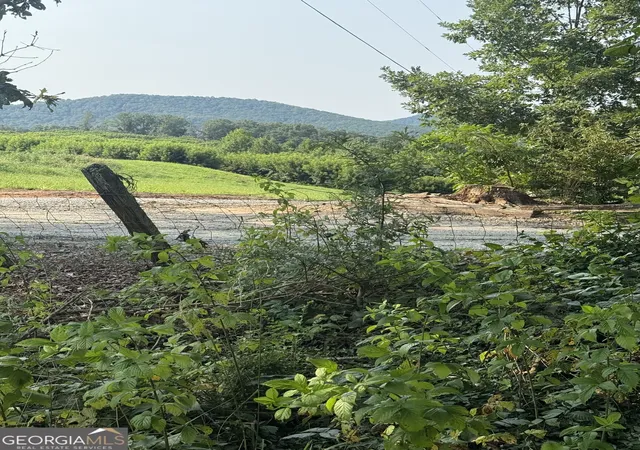 Land for sale at 0 Ridgemont Ln, Ellijay, GA 30536 | MLS# 10835360