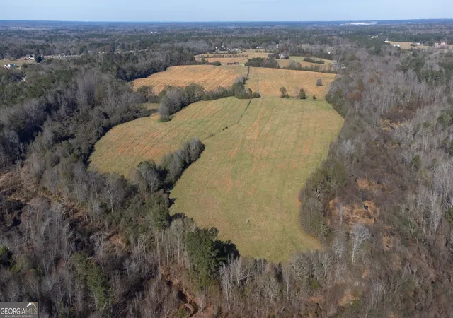 Photo 4 of Sale Pending at 0 Steele Rd, Griffin, GA 30223 | MLS# 10822567 | Listing updated on 2026-09-20