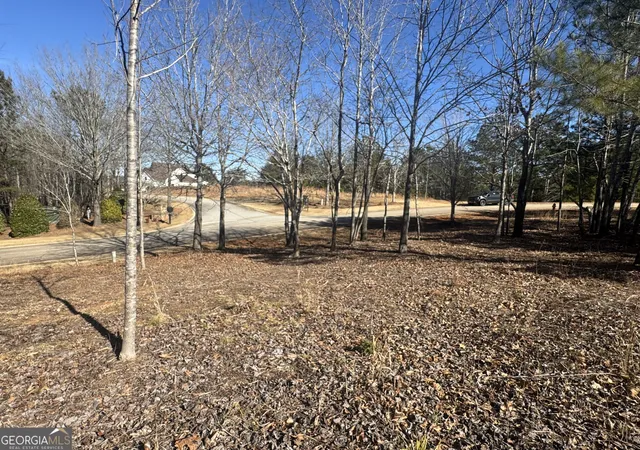 3rd image of 1541 Currahee Club Dr, Toccoa, GA 30577 | MLS# 10693490